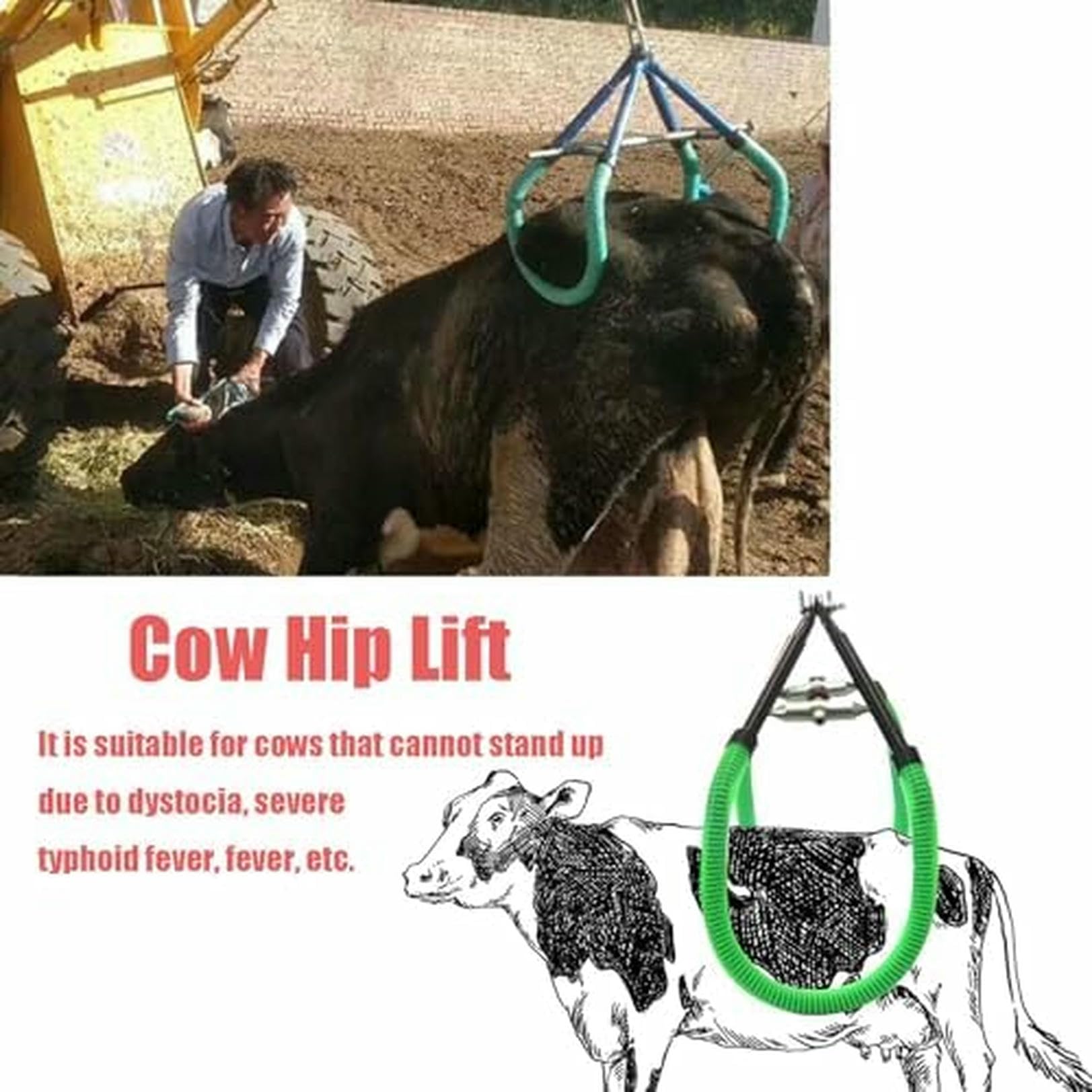 Collier de levage de hanche renforcé pour bétail, 1000 kg, cadre de levage réglable avec tube en caoutchouc antidérapant pour une manipulation sûre du bétail