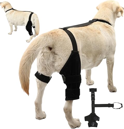 Rodillera para perro ACL para perro, soporte para pierna trasera para perro ACL con collar adicional y soporte para tratar la artritis de