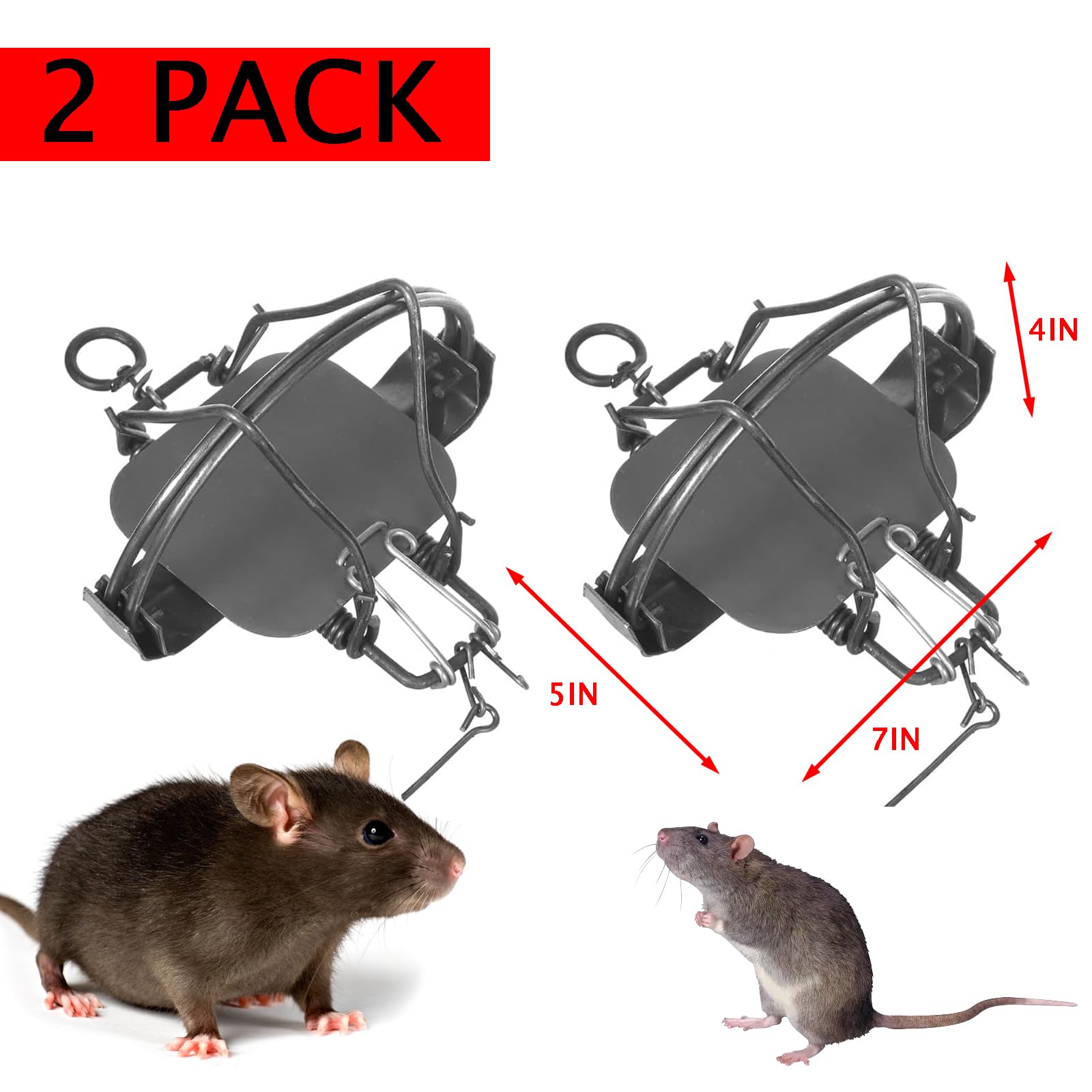 https://m.media-amazon.com/images/I/71OJHY9-qnL.jpg