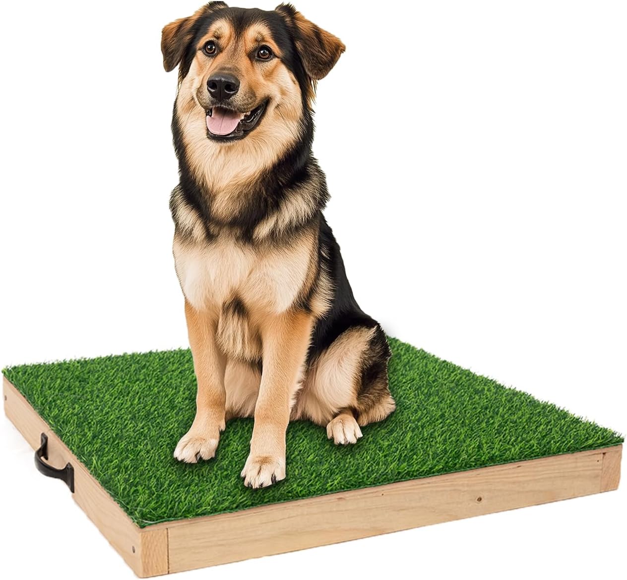 Dog Training Platform for Large Dogs, Place Boards... 10 Dog Training Platform for Large Dogs, Place Boards...