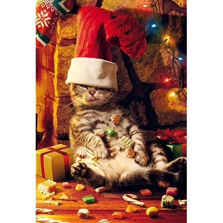 Twizler Funny Pub Drunk Cat And Klonk Happy Christmas Christmas Card Merry Christmas Card Christmas Card Christmas Women Female Male Christmas Men Christmas Card Amazon De Stationery Office Supplies