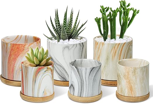 Amazon Co Jp T4u 植木鉢 陶器製 2号鉢 多肉植物鉢 竹製鉢皿付き サボテン鉢 マーブル模様 プランター ミニ植物適用 6個セット インテリア 家 オフィス飾り Diy 工具 ガーデン