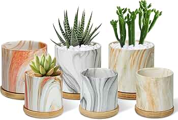 陶器鉢 2個セット Amazon.co.jp: T4U 植木鉢 陶器製 2号鉢 多肉植物鉢 竹製鉢皿付き