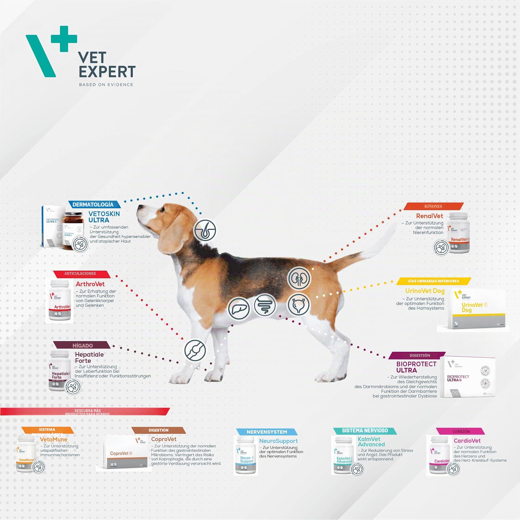 VetExpert Hepatiale Forte Large Breed | Paquete Doble | 2 x 40 Tabletas | Suplemento Dietético para Perros Grandes | Función Hepática Natural