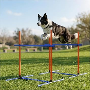 Dog Agility Equipment Set with Tunnel & Obstacles for Training