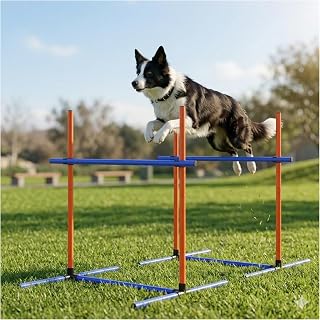 Dog Agility Equipment Set with Tunnel & Obstacles for Training | Complete agility course for exercise, obedience, and coordination training, suitable for dogs of all sizes.