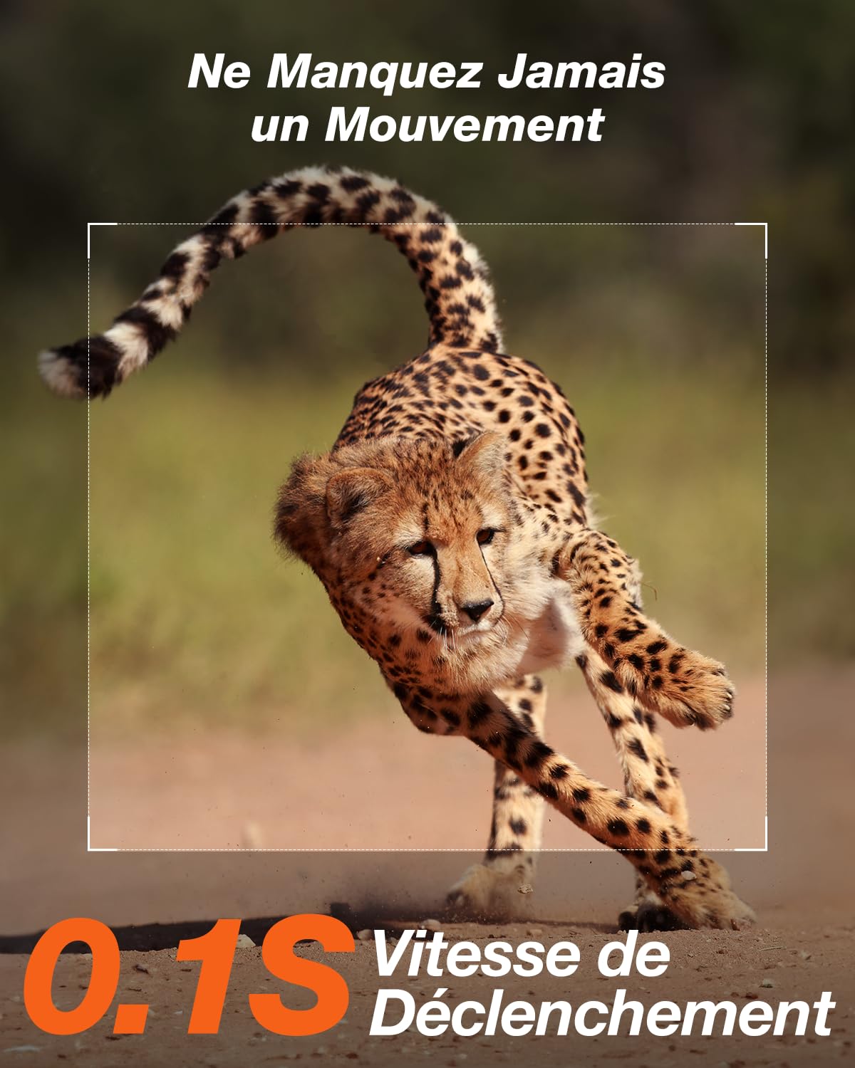 iZEEKER Caméra de Chasse Solaire 4K 48MP à 30fps avec 2,0’’ Écran LCD Intégré, 2600mAh Batterie Pas de WiFi, Camera Chasse avec Détection de Mouvement PIR et Vision Nocturne IR pour Observer la Faune
