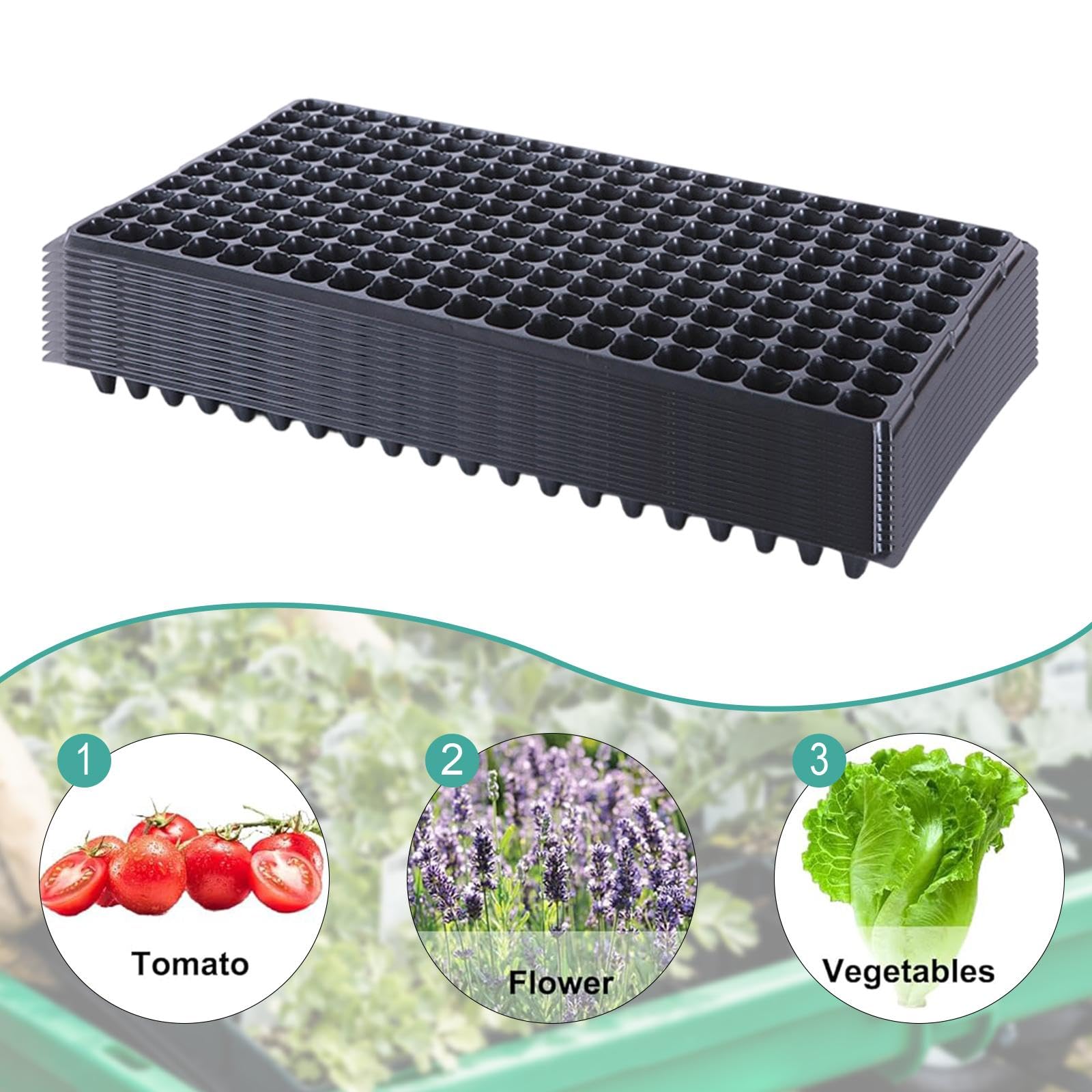 12 Pezzi vassoi per piantine da con griglia e Foro di drenaggio, vassoi per microgreens, vasi di avviamento per piantine di, 200 Celle