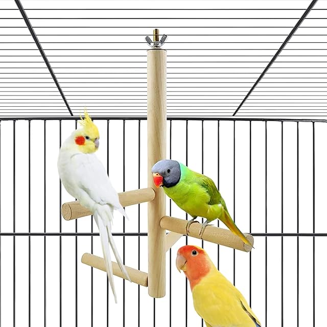 Bird Perches Birdcage Accessories Parrot Budgie Perch Stand Set with 4 Wood Stick Stands Wooden Ladder Bird Toys for Budgie Parrot Parakeet Cockatiel Play Jumping Rest