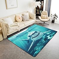 Vista 13 de jejeloiu Alfombra de Área con Líneas de Tiras Geométricas, Alfombra Decorativa para Sofá, Juego de Alfombras Decorativas Abstractas para Dormitorio