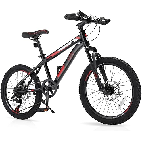 20/24/26 Inch Mountain Bike for Men/Women, Adult Bicycle with Professional 7 or 21 Speed Shifting, Double Shock Effect, Comfort Saddle and Pretty Look