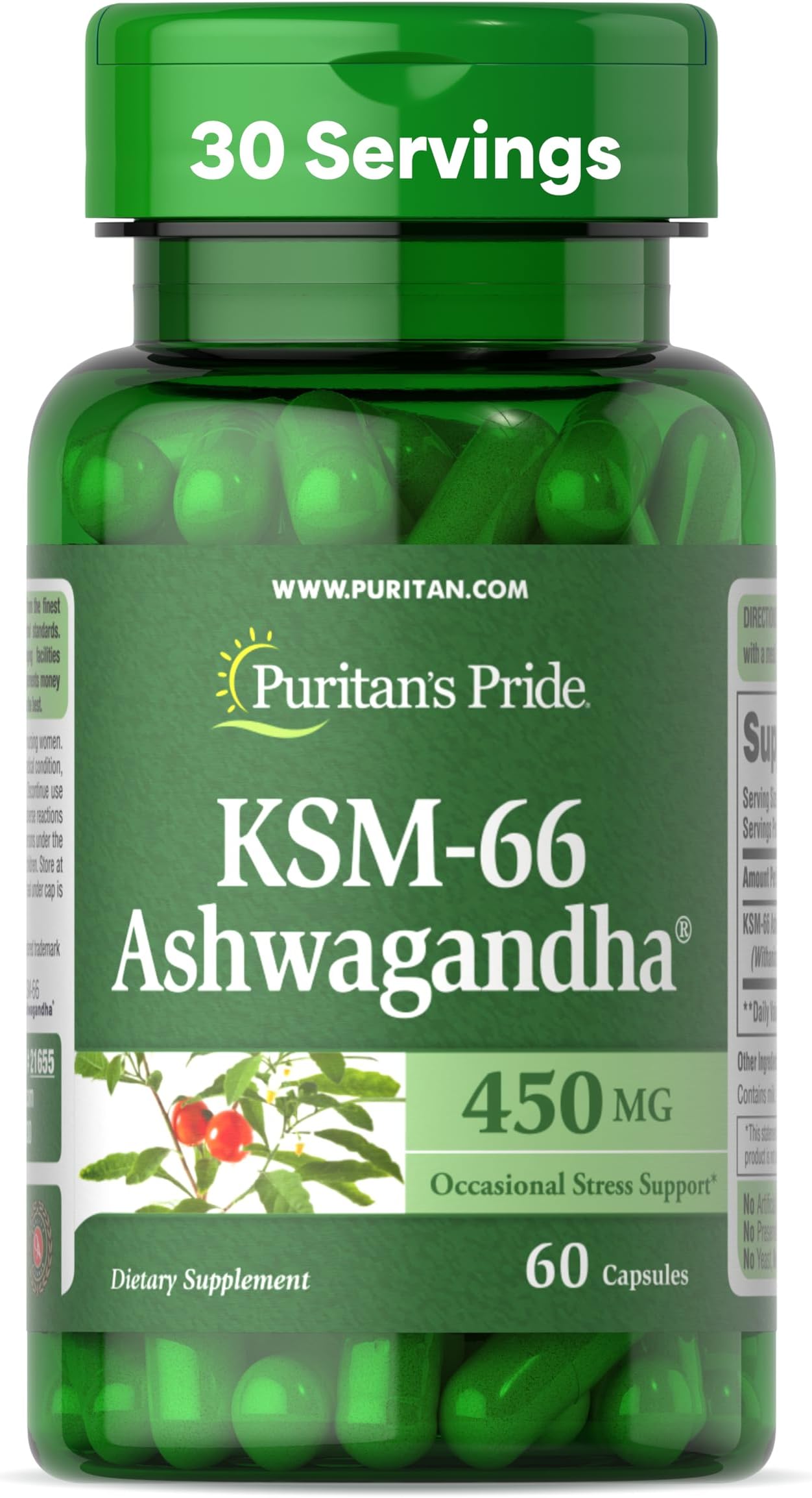 Ashwagandha KSM-66 Occasional Stress Support, 450mg, 60 Capsules (21655), 60 Count