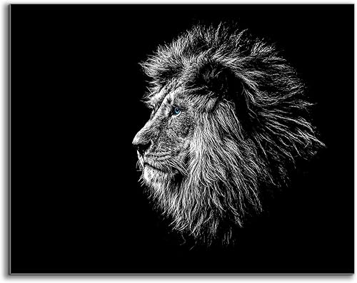 Canvas Palette Decoración artística de pared de león de ojos azules y animales (envoltura de galería, 24 x 32 pulgadas)