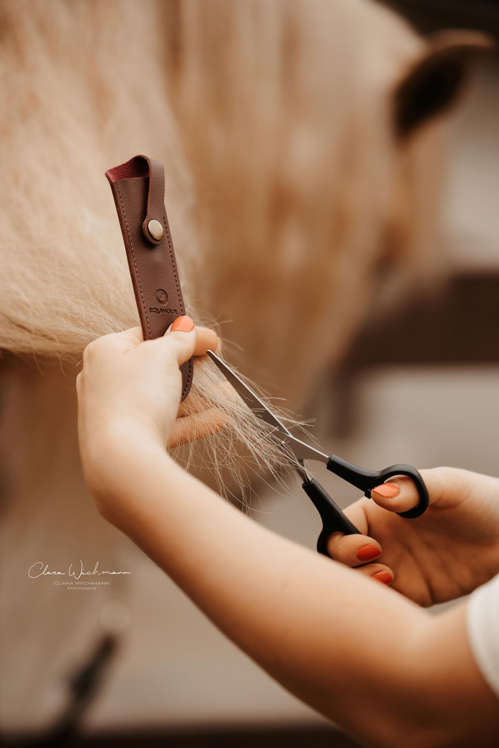 Forbici per criniera – in acciaio inox per tagli precisi su crini robusti | Impugnatura ergonomica & custodia in pelle vegana | Accessorio di qualità per la toelettatura del cavallo