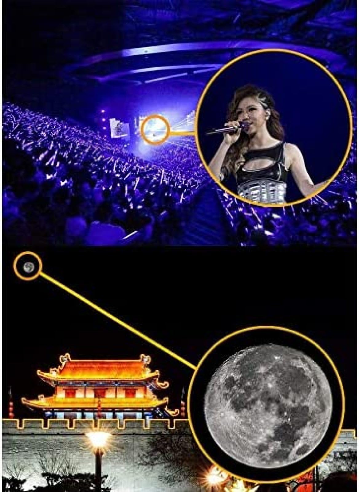 Monocular 16x50 Potente Portátil con Adaptador de Smartphone - Visión de Alta Potencia para Observación de Aves, Observación de Vida Silvestre, Conciertos