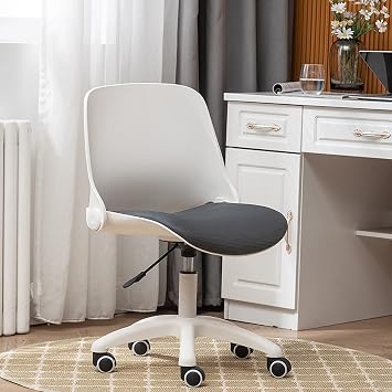 Office Chair Gaming Chair Computer Chair Plastic Office Chair with Wheels,Acrylic Adjustable Height Vanity Desk Chair Swivel Task Chair with Folding Backrest,Modern Armless Work Chairs Ergon