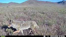 Review Image by Crystal E. Crystal E.