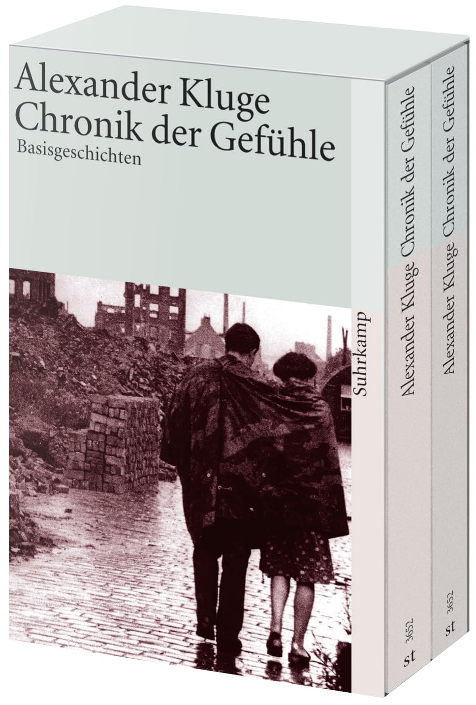 Chronik der Gefühle: Band 1: Basisgeschichten. Band 2: Lebensläufe