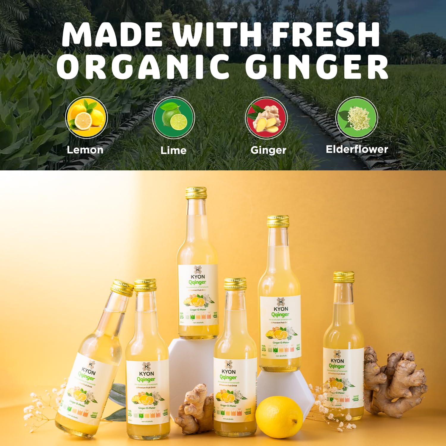 Bebida Kyon Qqinger – 250 ml de zumo de jengibre con limón, lima y flor de saúco. Refrescante y sin alcohol. Disponible en paquetes de 24. (250ml_24pk, Qqinger)