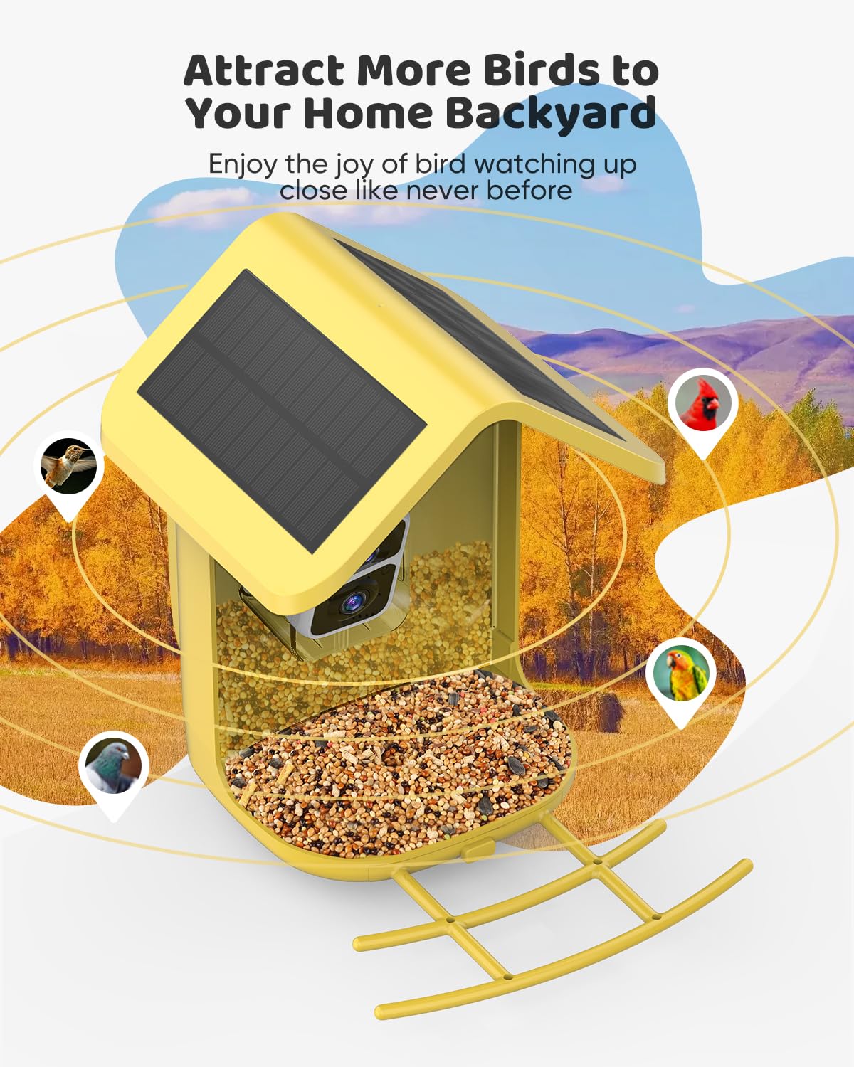 Comedero para pájaros con cámara con energía solar: cámara inteligente, alimentador de pájaros de vapor vivo 2K para exteriores, fotos de 5 MP, identificación de IA, gran capacidad de 1.8 L, regalos