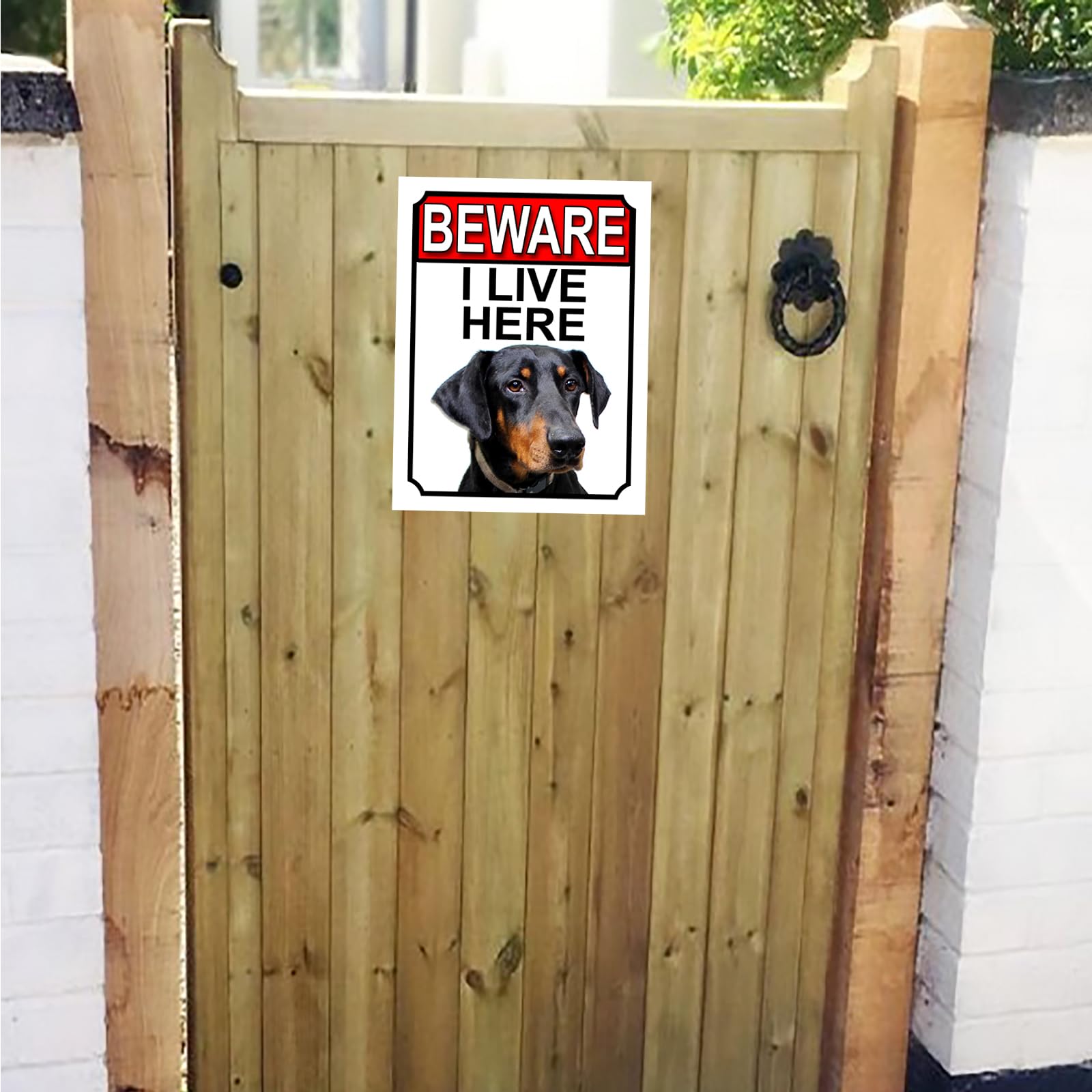 Blechschild 'Rottweiler' – 30,5 X 20,3 Cm, Metall, Mit Löchern Zum Aufhängen