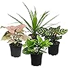 Product Photo 1
