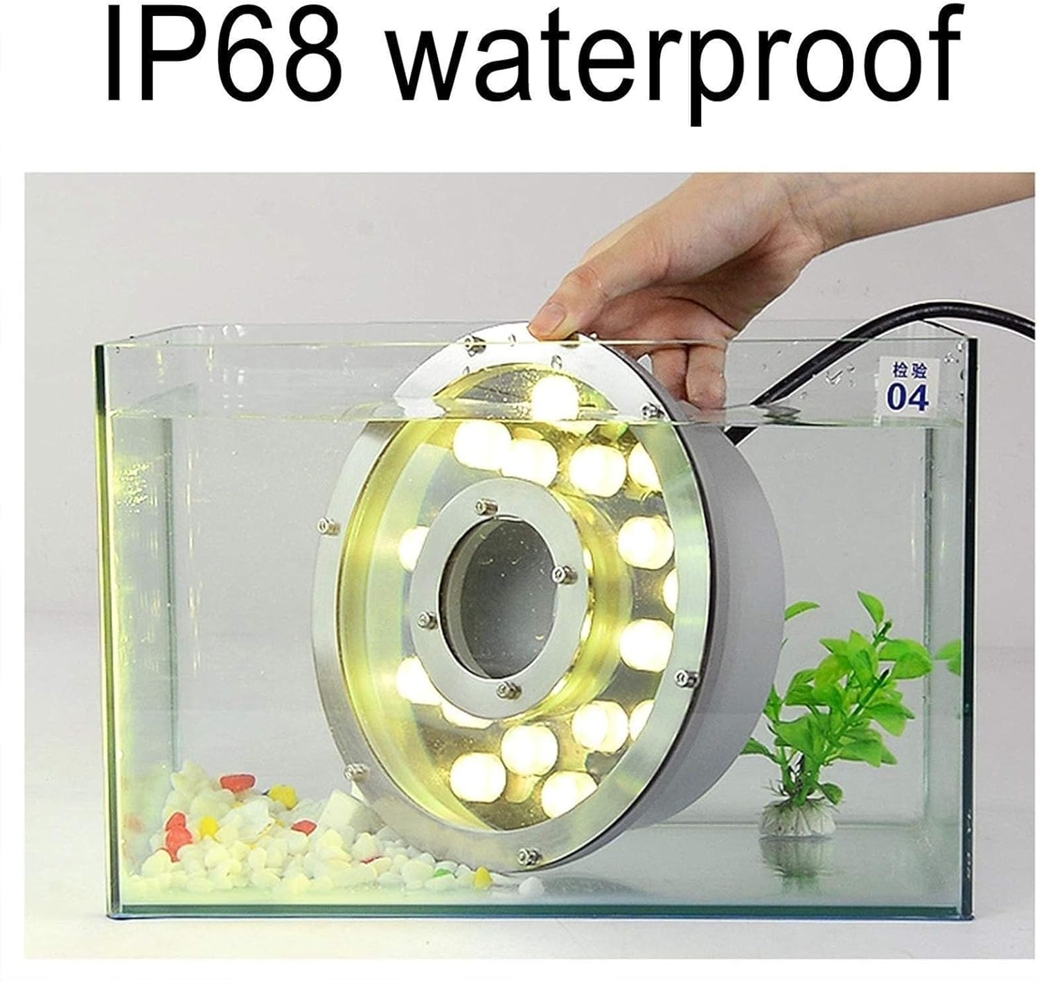 Underwater Pond Lights Submersible LED Fountain Light 12/24V Underwater Landscape Spotlight Middle for Garden Fountain Pool(Blue 6W(24V))