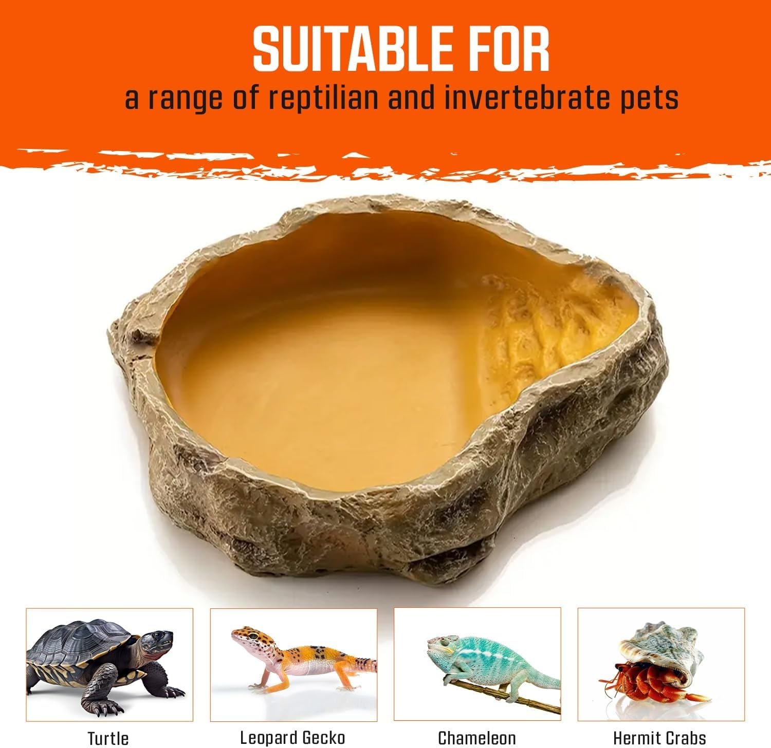 Bol À Eau Pour Terrarium, Accessoire Pour Tortues, Reptiles, Serpent, Gecko, Nourriture