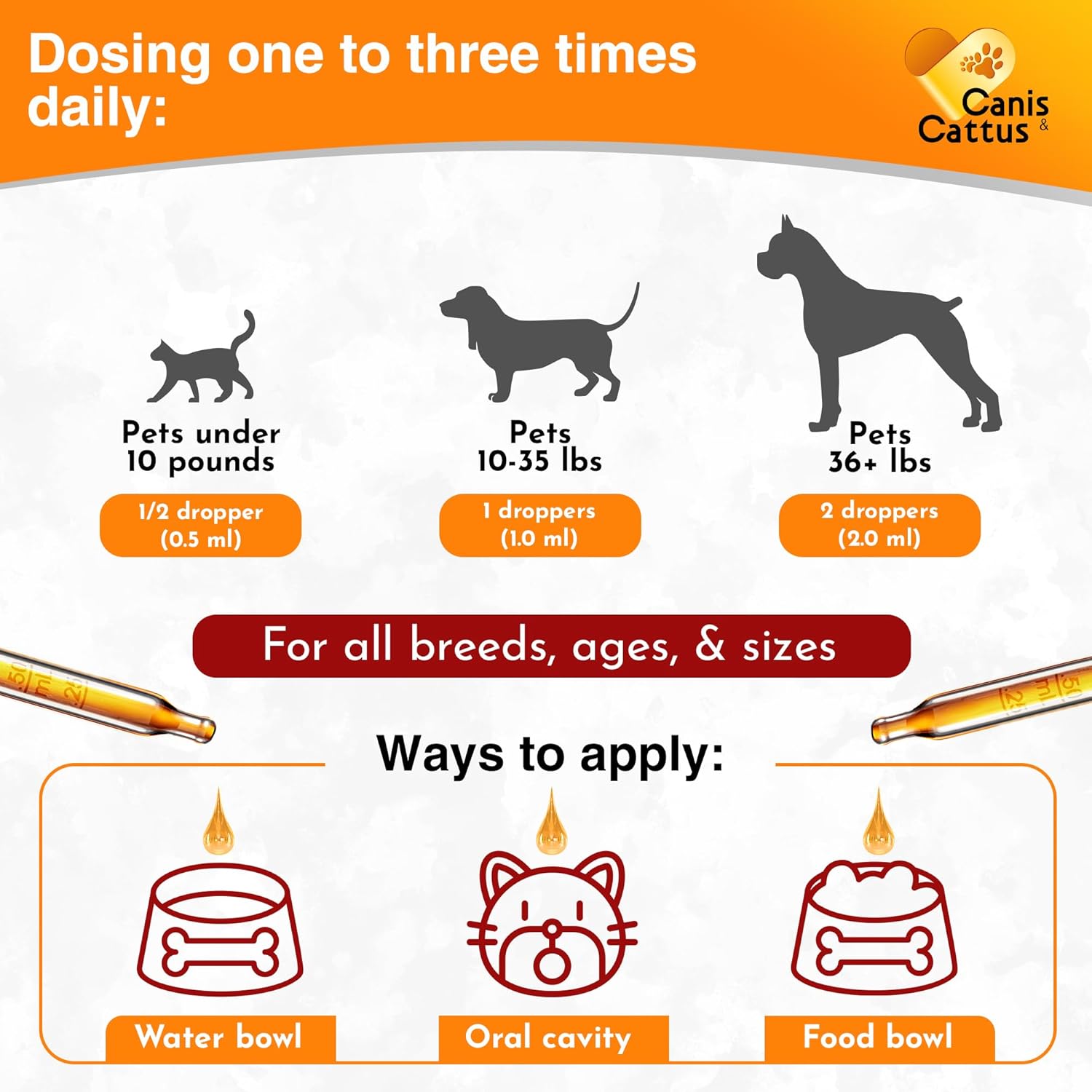 Cat & Dog Vitamins and Supplements | Cat Multivitamin 10-in-1 | Dog Supplements & Vitamins | Bundle