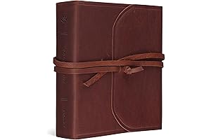 ESV Journaling Study Bible (Natural Leather)