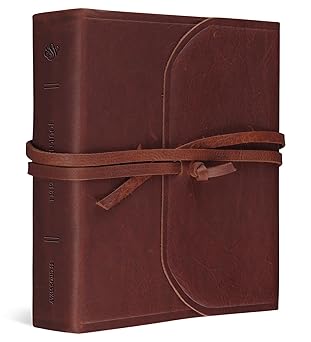 ESV Journaling Study Bible (Natural Leather, Brown, Flap with Strap): Holy Bible, English Standard Version Leather Bound – May 11, 2023
