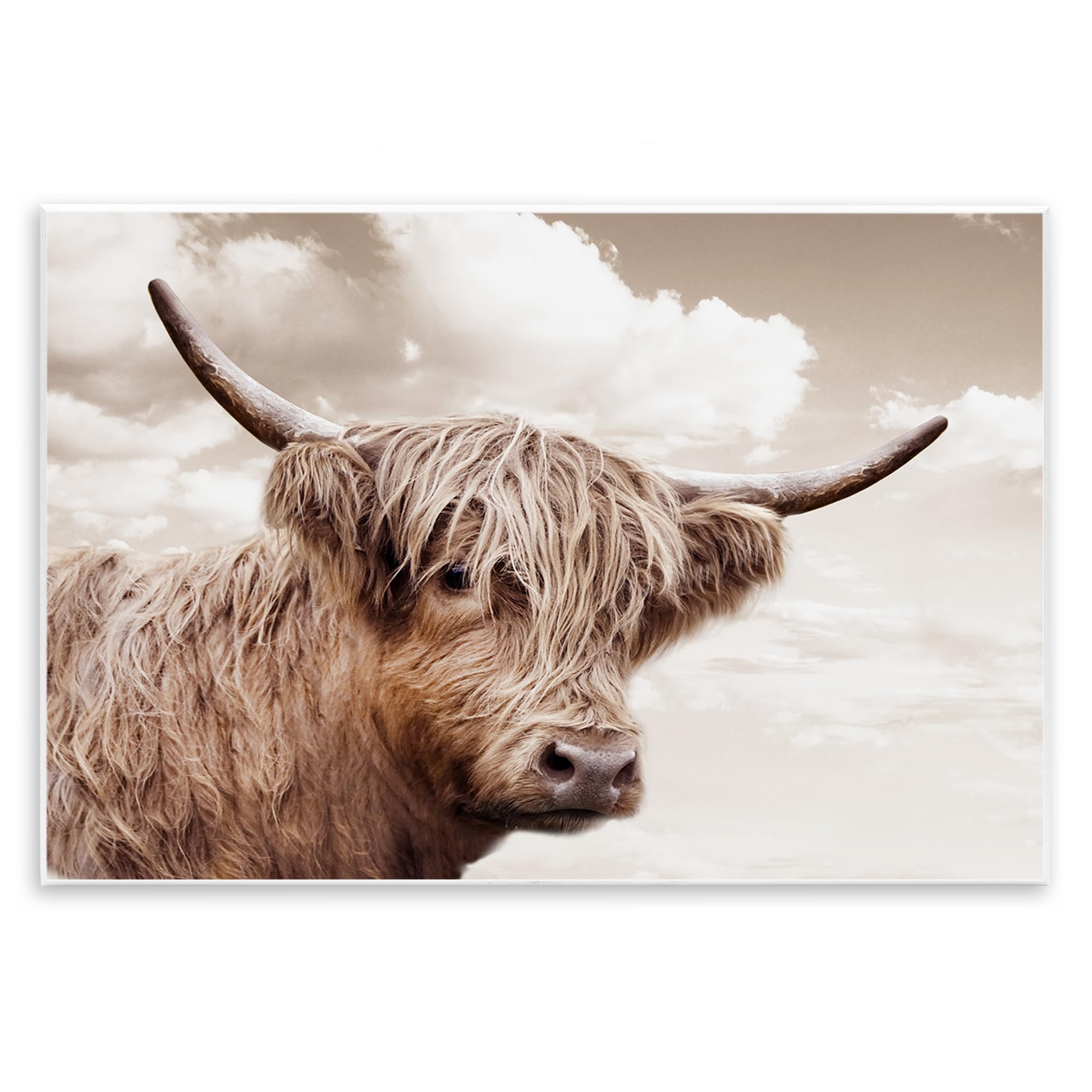 Stupell Industries 'Shaggy Highland Cow & Clouds', Wall Plaque Art, 19 x 13 Inches, Easy to Hang and Sturdy, Made in USA, by CAD Designs