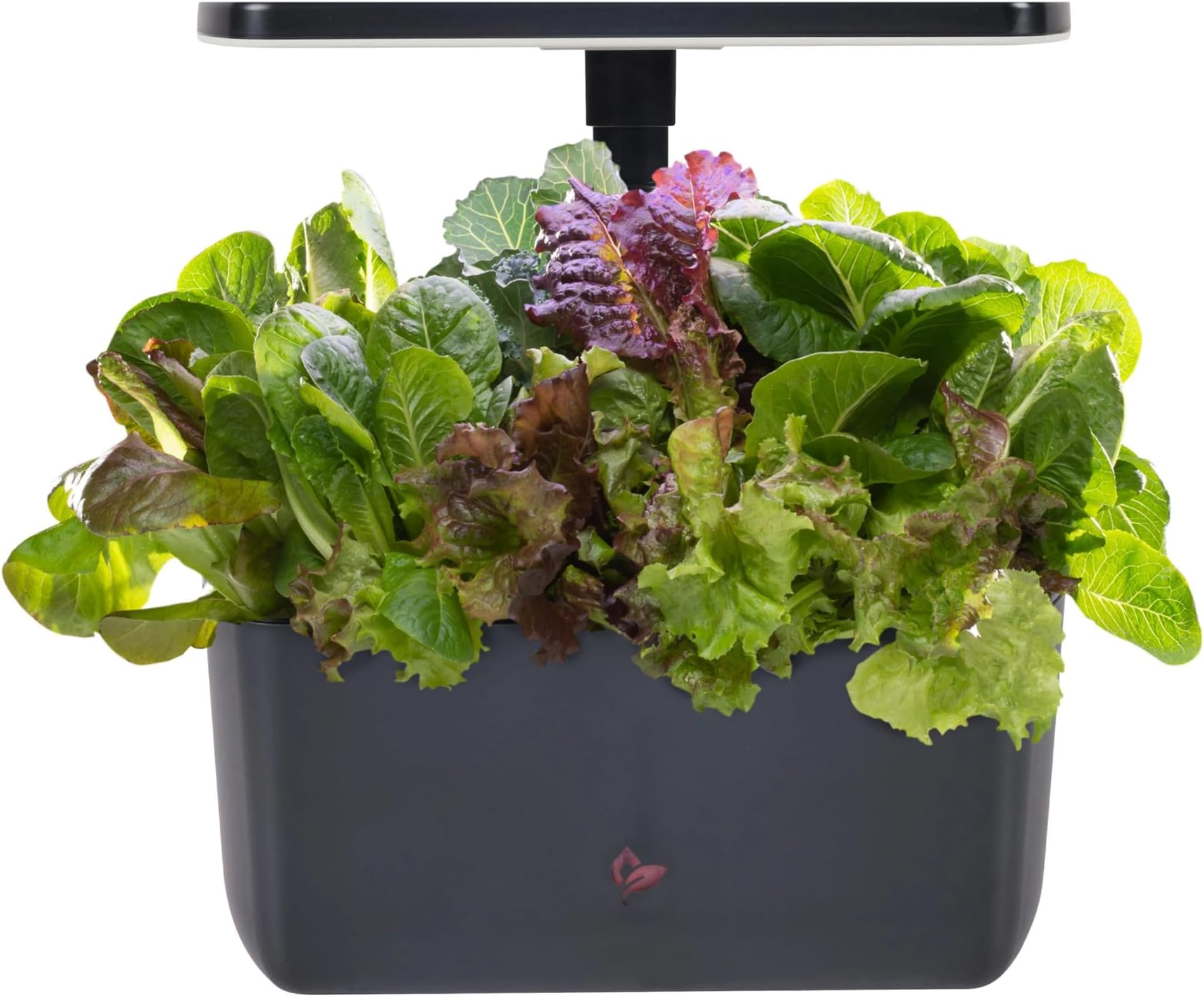 AeroGarden 901203-1210 Harvest 2.0 Indoor Garden Hydroponic System with LED Grow Light, Charcoal