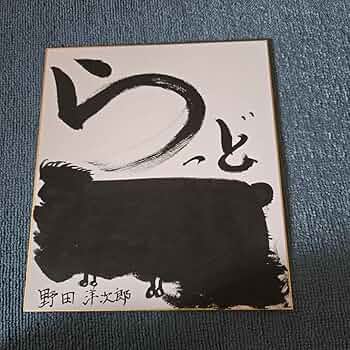 71OJy7YI1KL._AC_UF350,