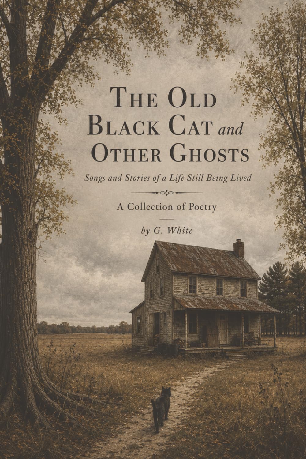 The Old Black Cat and Other Ghosts: Songs and Stories of a Life Still Being Lived (The Witness)