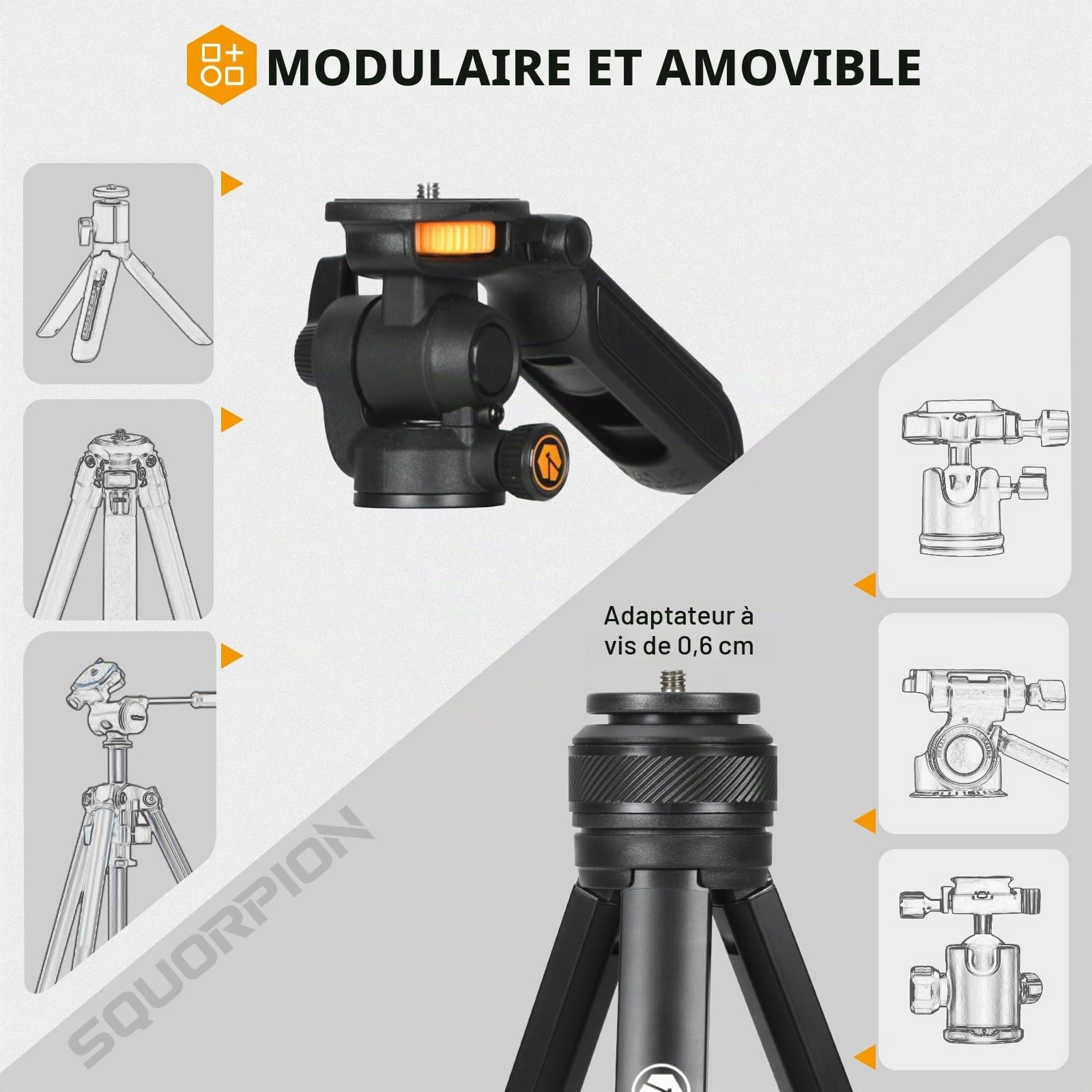 TARION Trepied Appareil Photo Compact: Trepied Telephone Smartphone Portable avec Tête de Trépied Amovible Trepied de Voyage Camera DSLR Leger pour Vidéo Vlog Stream Photographie Squorpion
