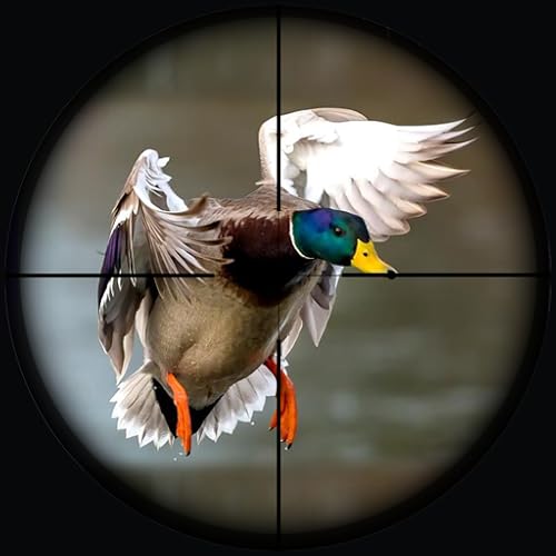 Duck Hunting Wild Adventure - Bird Hunting Game - New Games 2024