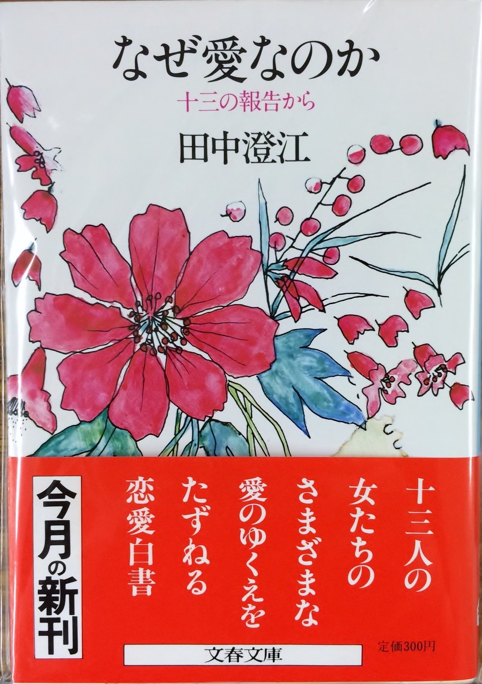 Amazon.co.jp: 田中 澄江: 本、バイオグラフィー、最新アップデート