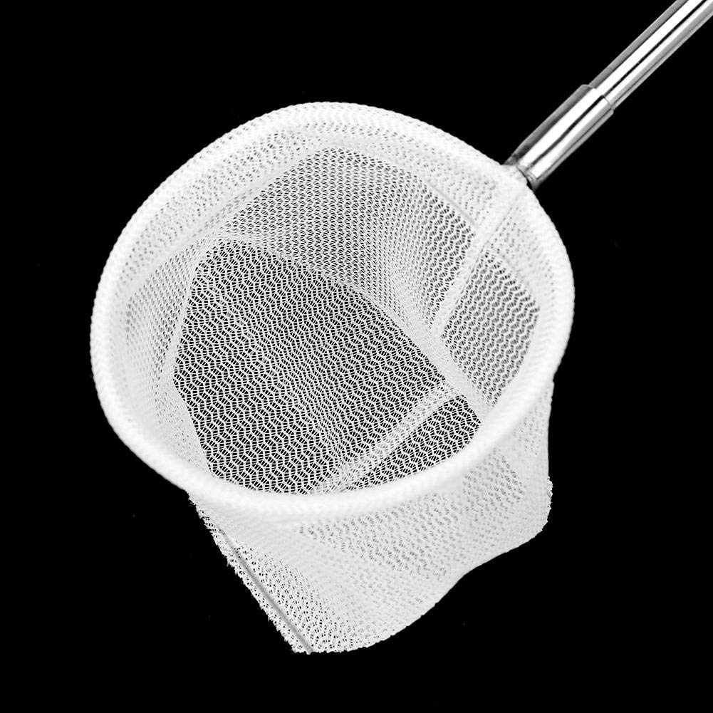 Aquarium Schepnet Visnet Uitschuifbaar Telescopisch Vis Garnalen Visnet met RVS Handvat voor Aquarium Fish Tank Vis Garnalen (Groen Vierkant