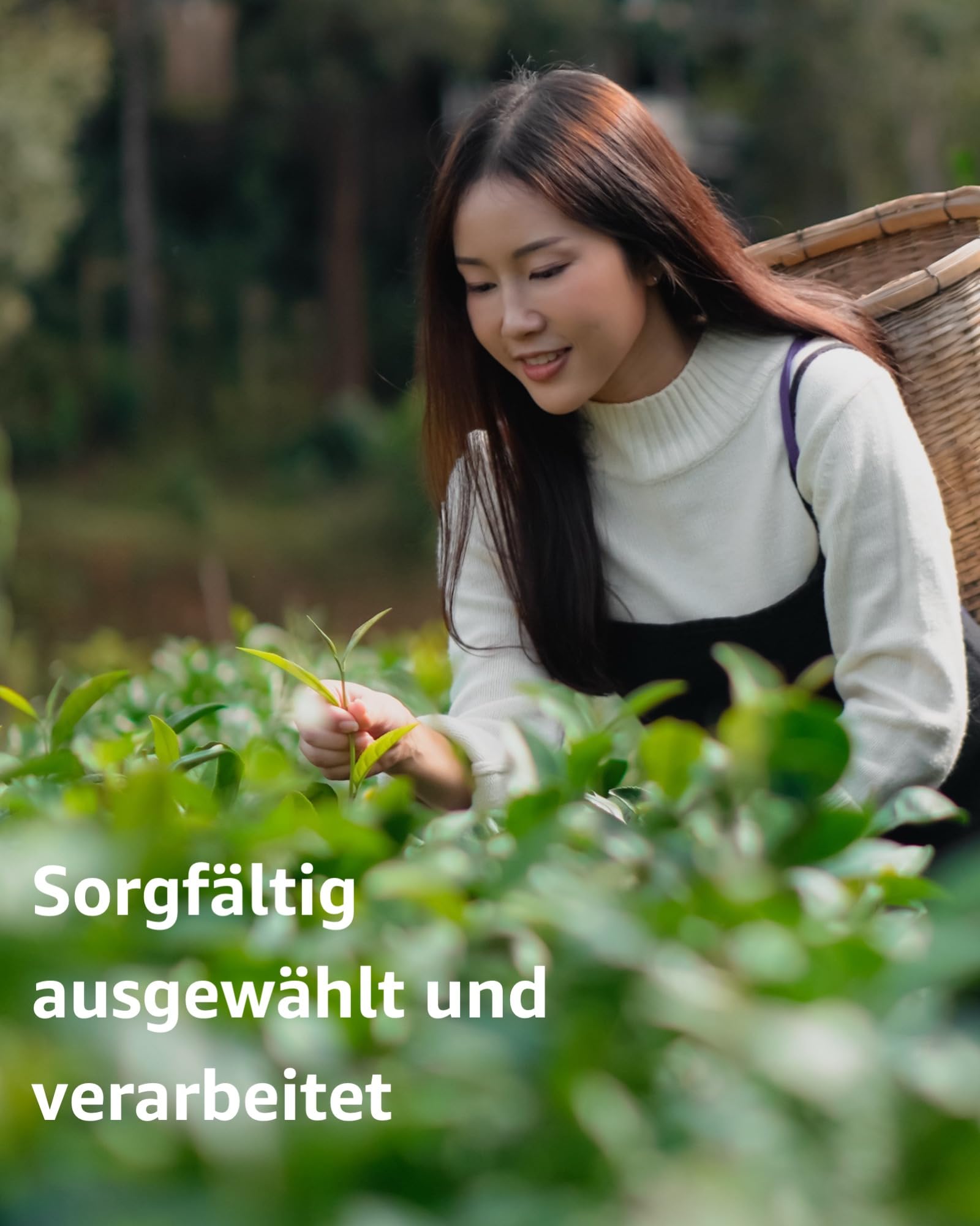 Edles Trio Tee-Geschenkset: Earl Grey, Rooibos Tropiques, Grüner Tee Menthe | Drei Sorten, schmuckvolle Aromadosen, Tee Geschenkideen, Premium Tee, Geschenk für Teeliebhaber, Christmas Hamper