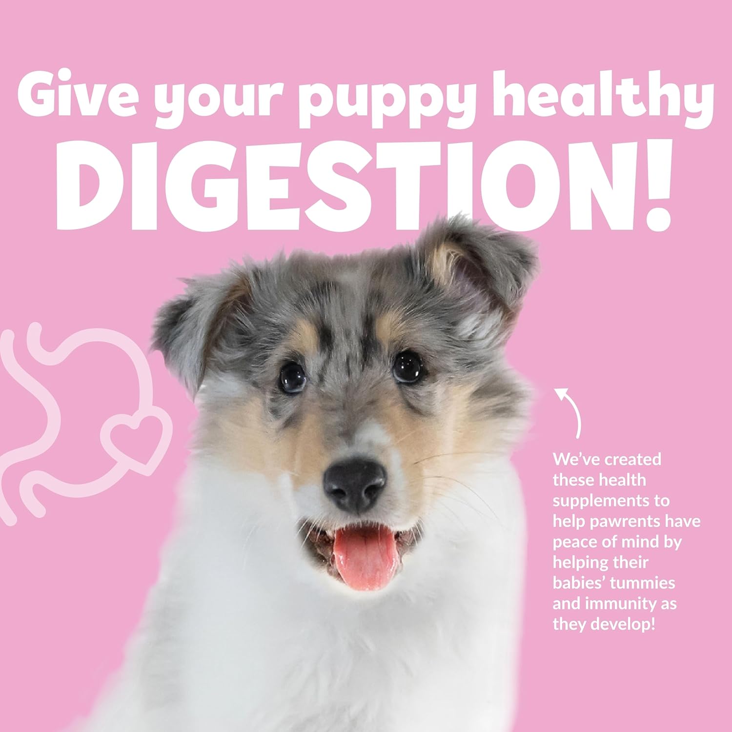 Snuggle Puppy Puppy Bites Gut Health Supplement - Dog Probiotics & Prebiotics for Gut Health - Pet Supplement and Supplies for Dog Health - Digestive Health Support - 60 Soft Chews
