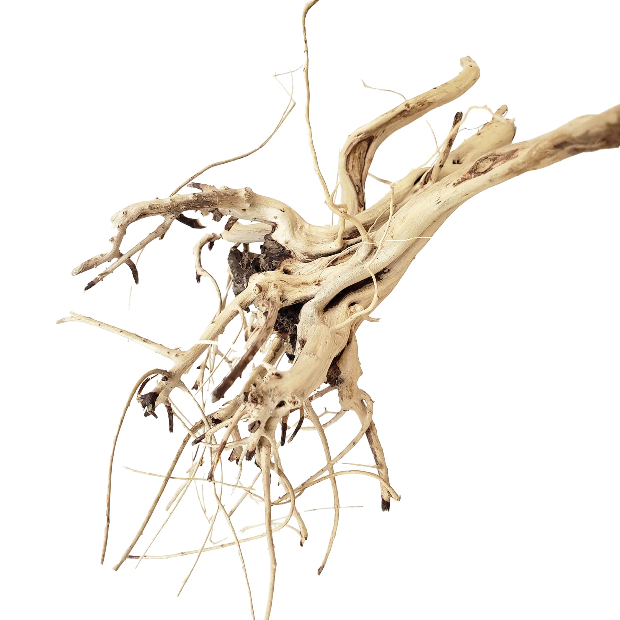 Buy Azil Natural Driftwood Tigerwood Aquarium Decoration (2 Pcs) Moss