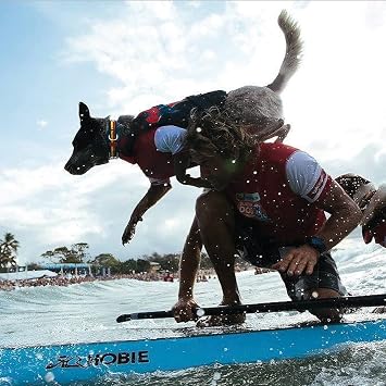 EzyDog DFD Dog Life Jacket, Dog Life Vest for Swimming - X-Small, Red | Adjustable Dog Swim Vest, Padded Neoprene Straps, Grab Handle, 50% More Flotation Material, Reflective Trim, Stays Upright