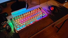 Review Image by John B John B