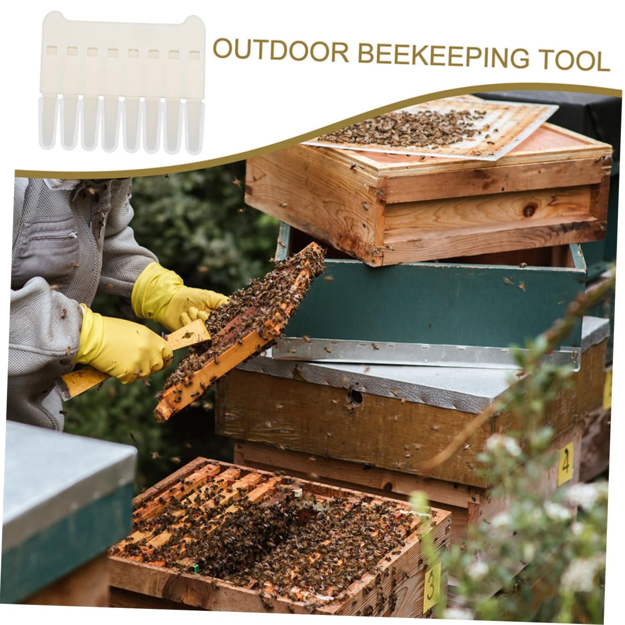 BESPORTBLE 6pezzi Royal Jelly Extract Pen Strumento Di Raschiatura Per Apicoltura Ottimizza Raccolta e Pulizia Dei Favi Utile Per Apicoltori Esperti e Principianti