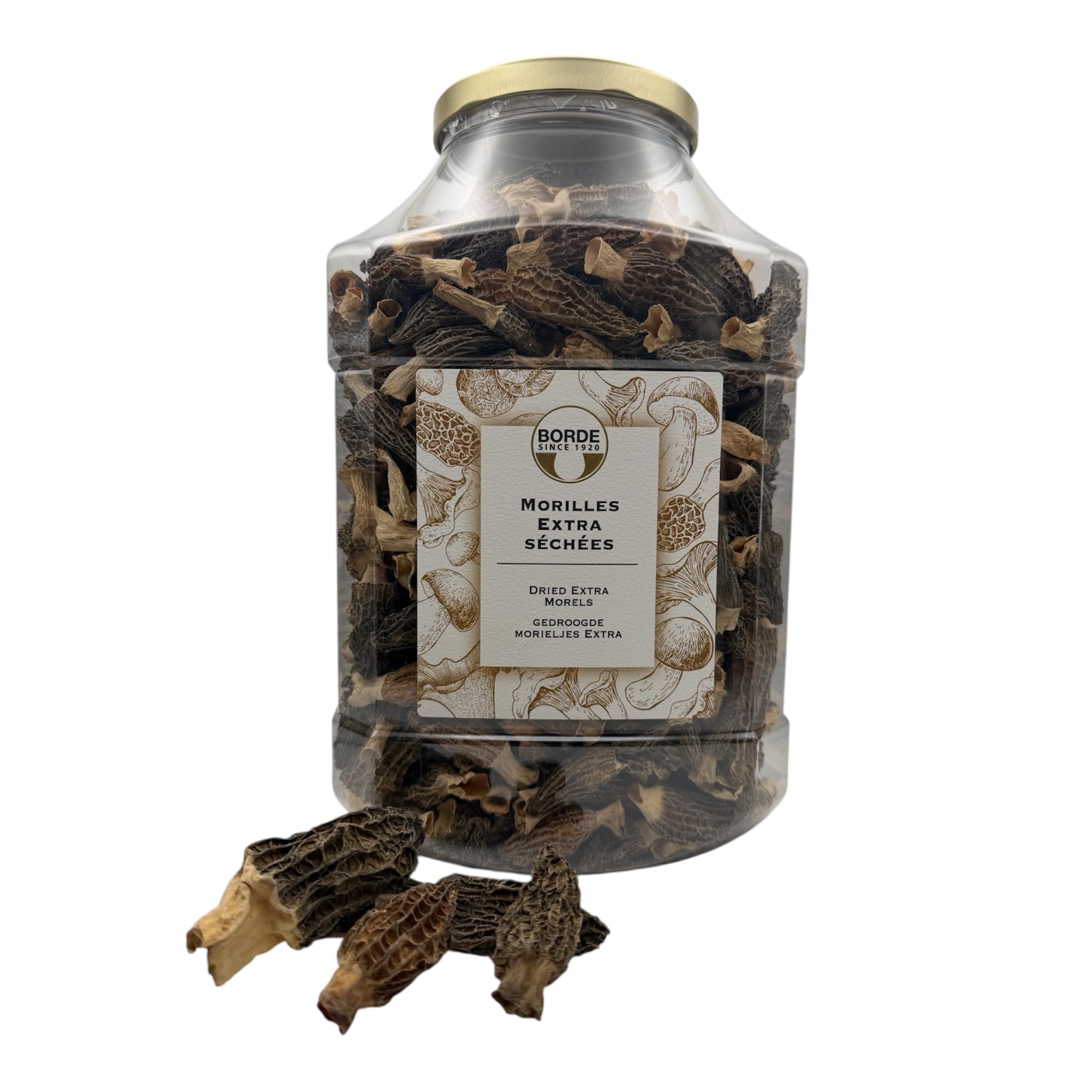 Spitzmorcheln aus Frankreich, getrocknet, Borde, 400g, Morscheln Extra