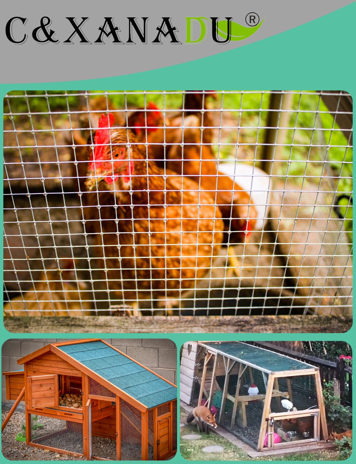 Rollo de malla alambre pollo soldado galvanizado en caliente | Tamaños 30cmx5m, 60cmx10m, 90cmx10m: Barrera for animales, cerca for jardín, aviario for aves de corral(60CM X 10M)