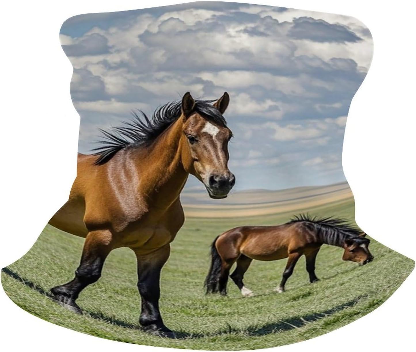 Upf 50+ Fishing Neck Gaiter Breathable Balaclava Half Face Mask Quick Dry Neckscarf Ski Mask Windproof Grazing Wild Horses Face Covering for Sun Protection Outdoor