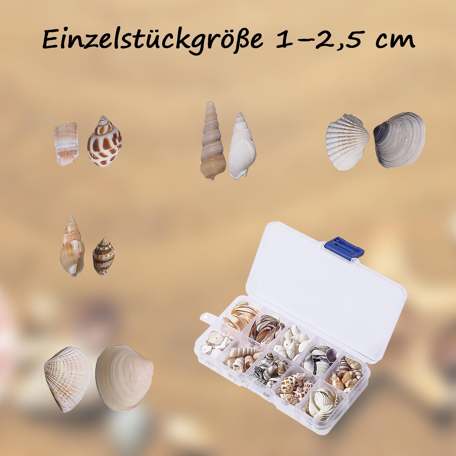 150-200 sztuk mieszane muszle, muszle plażowe, muszle morskie, mieszane muszle oceaniczne, plażowe, dekoracja weselna, akwarium, wypełniacz wazonu