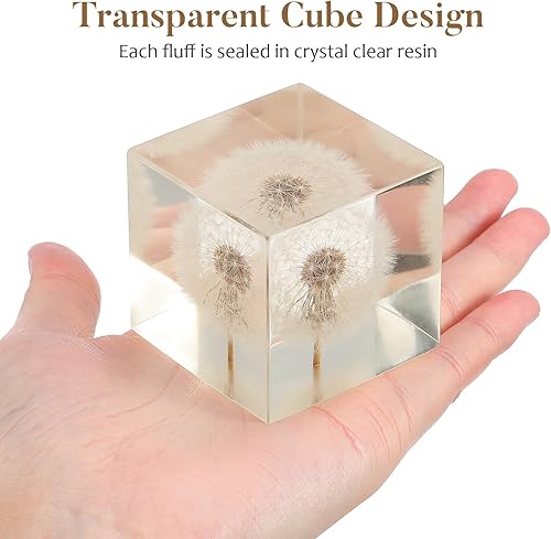 Miniatura 4 de ARTIBETTER Estatua de espécimen de hojaldre real de diente de león 3D en cubo de cristal de cristal, adorno de escritorio, decoración Fengshui para